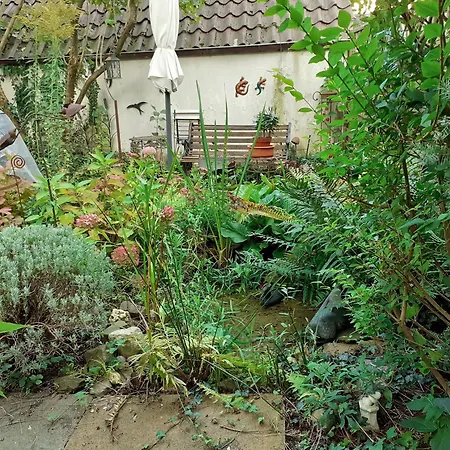 Ruhiges Im Garten *